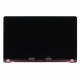 Матрица в сборе для MacBook Pro 16" A2991 (2023) Space Black (Разбор)