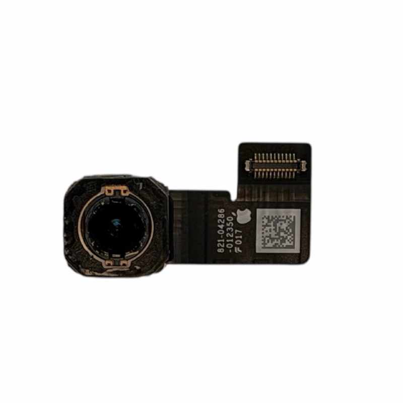 Задняя камера iPad Pro 11" / iPad Pro 12.9" 3 Gen / iPad 8 (2020) 10.2" / iPad 10 (2022) 10.9" (Разбор)